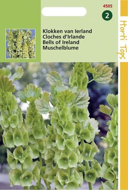 Hortitops Zaden - Moluccella Laevis (Klokken Van Ierland)