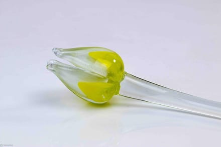 geel witte tulp - Tulp van glas 50 cm – bloem van glas – glaskunst – beeld van glas geschenk- cadeau