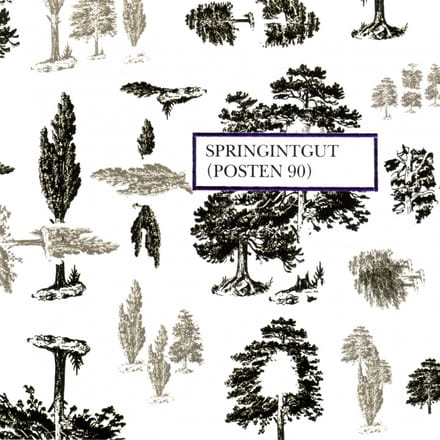 Springintgut - Posten 90 (CD)