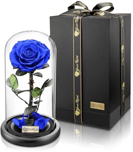 Echte premium roos in glas met geschenkdoos – Lange houdbaarheid en stijlvol cadeau
