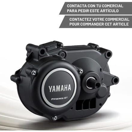 Elektromotor Yamaha PW-ST