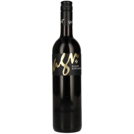 Weingut Hagn Hagn Blauer Burgunder 2023 13% Vol. 0,75l