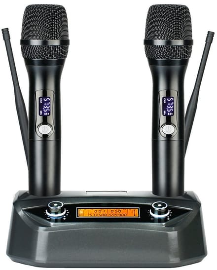 Dubbele professionele draadloze microfoon met vaste ontvanger