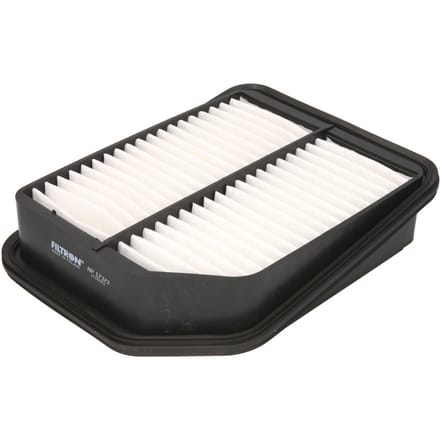 Luchtfilter FILTRON AP173/2