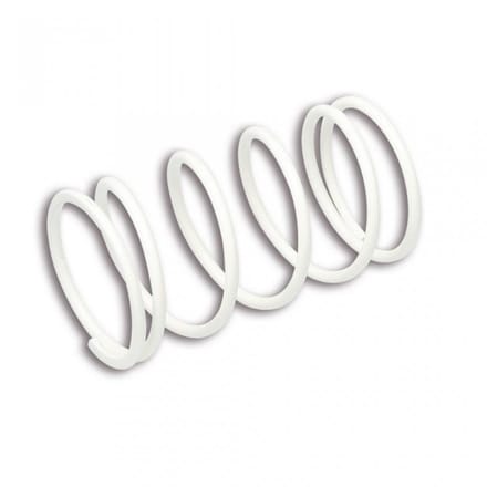 Ressort d embrayage Malossi pour Auto 2912658W0 Neuf