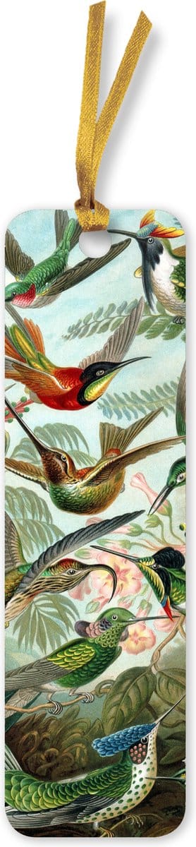 Flame Tree Bookmarks (Foiled)- Ernst Haeckel: Hummingbirds Bookmarks (pack of 10)