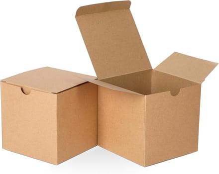 10 Stuks Kraft Geschenkdozen Vierkant met Deksel voor Cadeaus en Feestverpakking