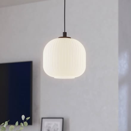 EGLO Mantunalle - Hanglamp - E27 - Ø 20 cm - Zwart