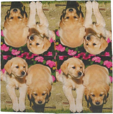 Lunch servetten Puppy's - Esscherts design - 33x33 cm