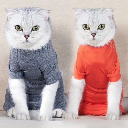 Huisdierherstelpak Vierpoten buikwondjas voor katten
