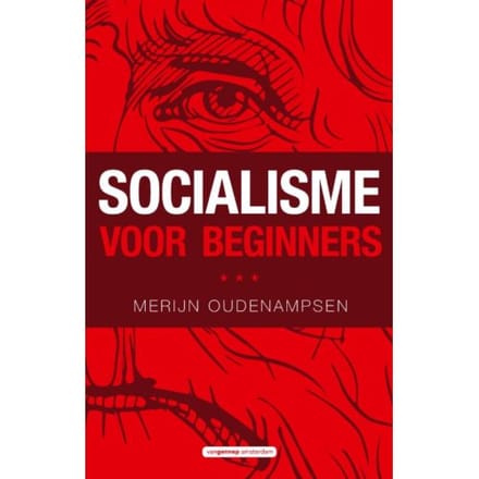 Socialisme Voor Beginners - Merijn Oudenampsen