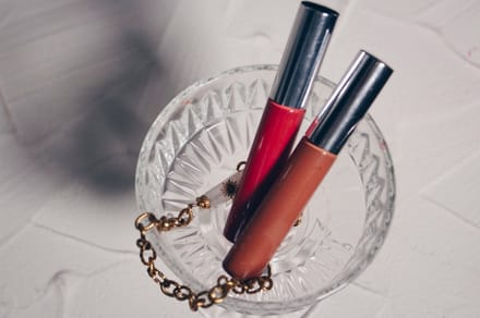 PAVÈZ CORAL FLAIR ORGANIC LIPGLOSS