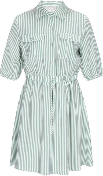 usha Dress