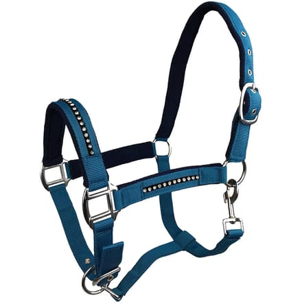 Halster voor paarden York Quartz