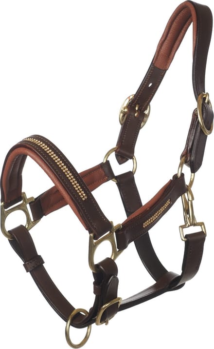 MHS Leren Halster Bling Cob Bruin / Goud
