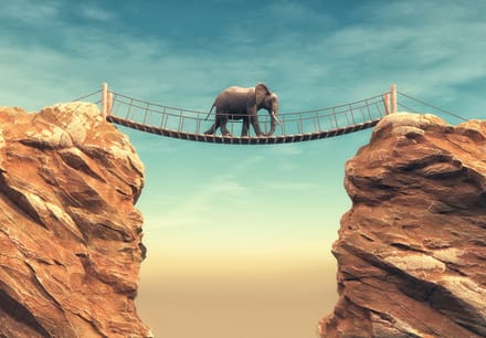 Fotobehang Olifant en Rotsen XXL – posterbehang – 368 x 254 cm