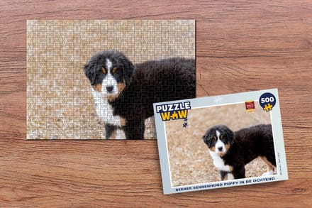 Puzzel Berner Sennenhond puppy in de ochtend - Legpuzzel - Puzzel 500 stukjes