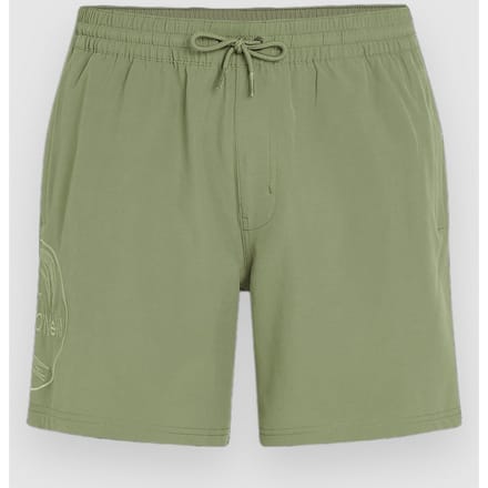 O'Neill O'Riginals Cali Ocean 16'' Boardshorts groen