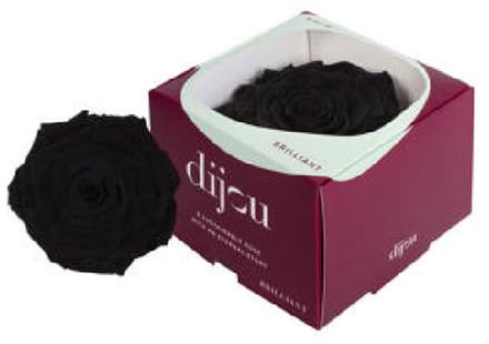 1x Dc pres.rozen black 0006c