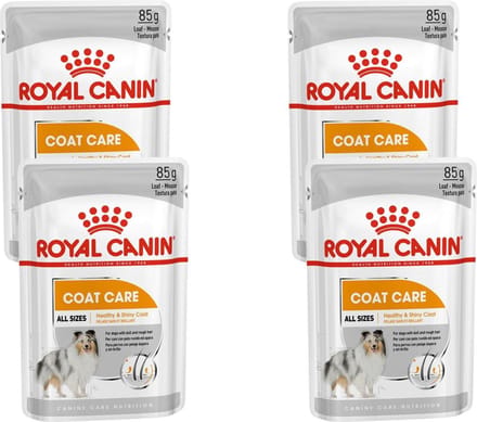 Royal Canin - Coat Care Hondenvoer Nat - 48 x 85 gr