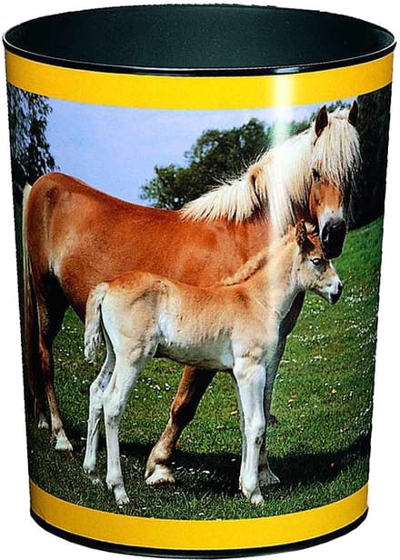 Läufer prullenbak ´Paard en Veulen´