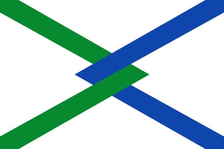 Vlag Hamme 150x225cm