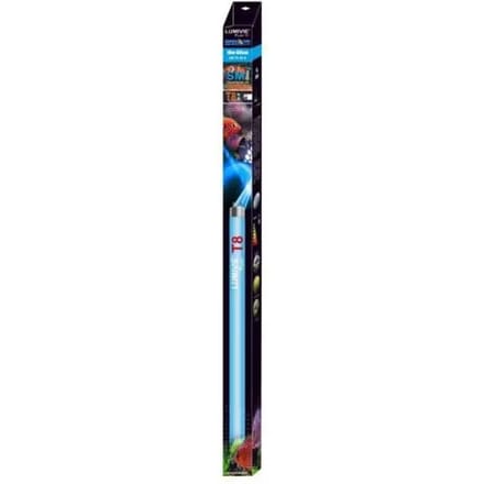 Buis Aquavie Lumivie SM T8 18w