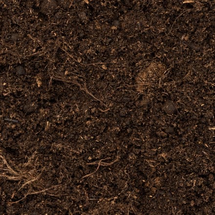 Turf - Supplementen - Nestmateriaal - Pruimkopparkiet (Psittacula cyanocephala)