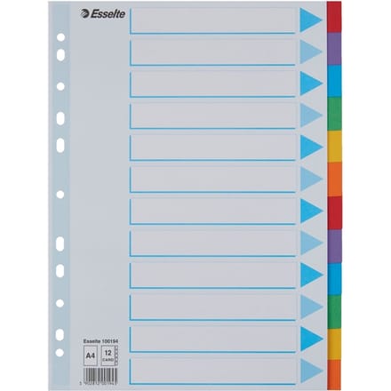 Tabbladen Esselte Standaard A4 12-delig karton 11-rings met voorblad assorti