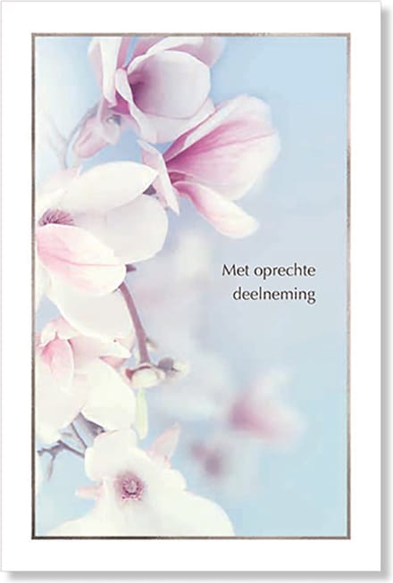 MGPcards - 6 Luxe dubbele wenskaarten - Deelneming - Foliedruk - FSC-keurmerk - 11,5 x 17 cm