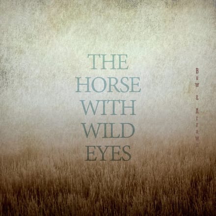 Horse With Wild Eyes - Bow & Arrows (CD)
