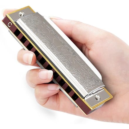 Harmonica Blues 10 Trous Clé C A F D G B E Harmonica à Bouche Boîtier en Bronze Phosphoreux Harmonica Diatonique Blues Harp Débutant Pour Enfants gray