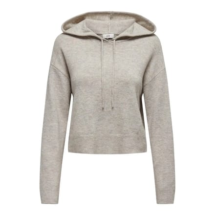 Capuchon sweaters JDY Pull Sweat à capuche