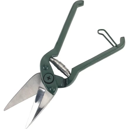 Schapen nagelknipper, ingekerfd Kerbl