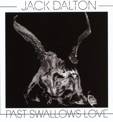 Past Swallows Love