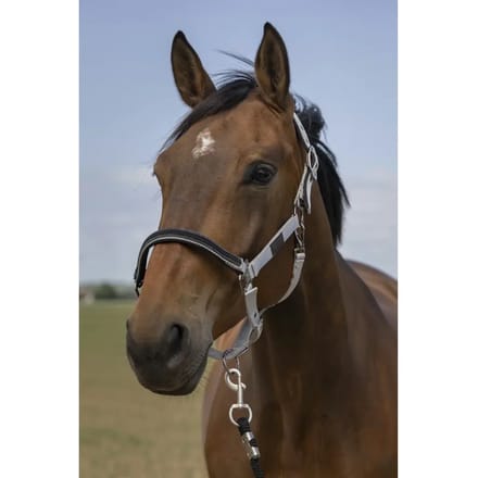 Nylon chevron halster Equithème