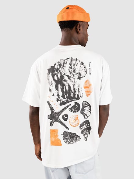 Nike ACG ACG Oc Fossils T-Shirt wit
