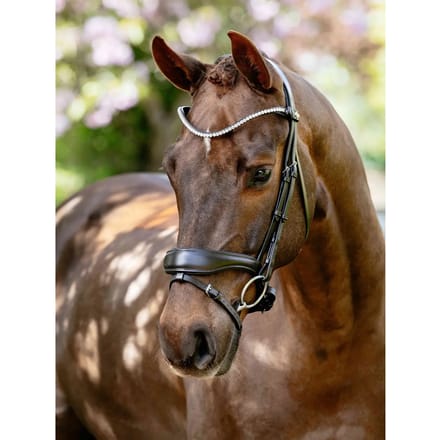 Anatomische paardenruiters biedingen LeMieux