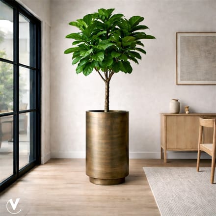 Bloem - plantenpot | Potosi | aged brass | Ø40 x H80 cm