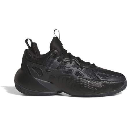 Basketbalschoenen voor kinderen adidas Trae Unlimited