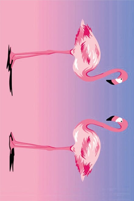 Diamond Painting Flamingo