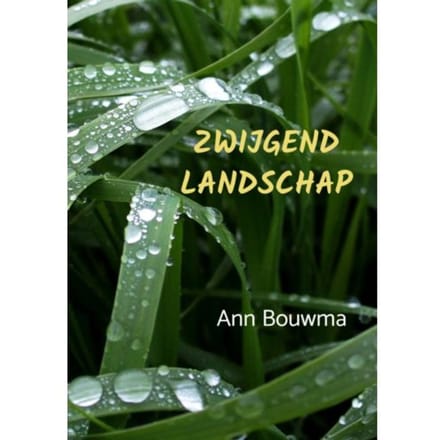 Zwijgend Landschap - Ann Bouwma