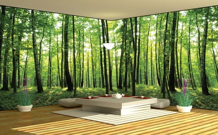Fotobehang Vlies Bos, Natuur | Groen | GROOT 624x219cm