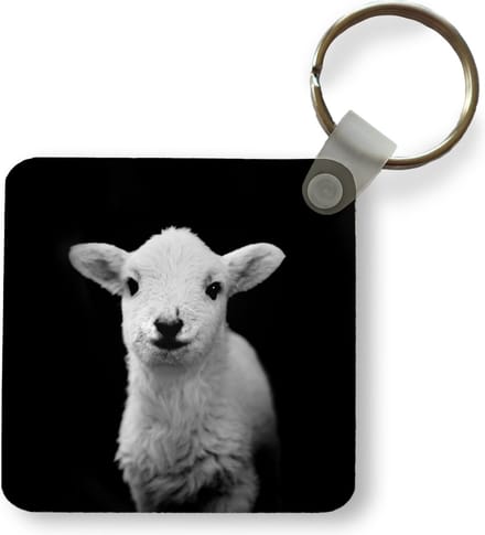 Sleutelhanger - Uitdeelcadeautjes - Lam - Schaduw - Schaap - Plastic