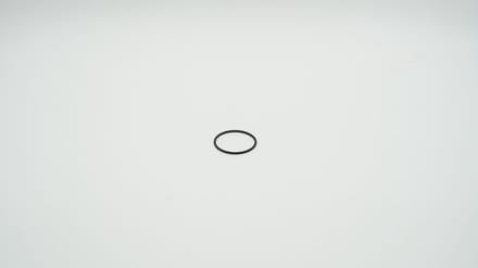 BWT O-ring voor filterbeker E1, 1-904441