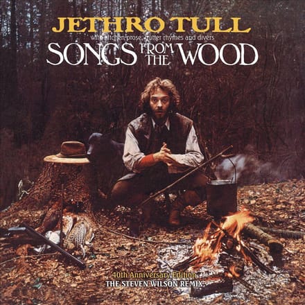 Songs From The Wood