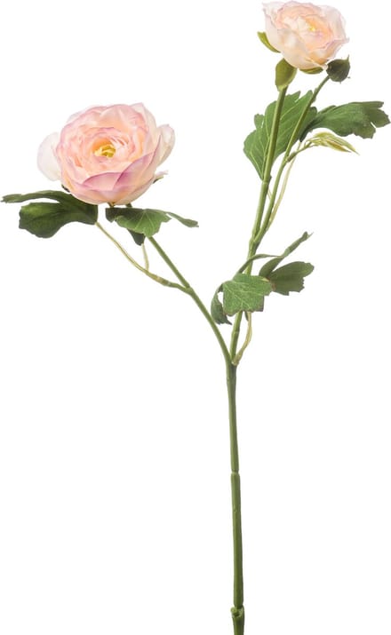 Emerald - Kunstbloem Ranonkel 46cm lichtroze - Kunstplant voor binnen