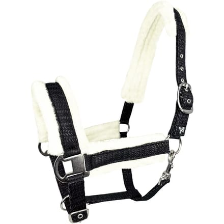 Halster voor paarden York Pola