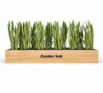 Kunstplantenpakket Leiden (t.b.v. kast 160 cm breed)