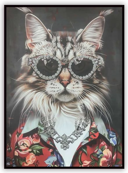 Schilderij cool cat 60x80cm